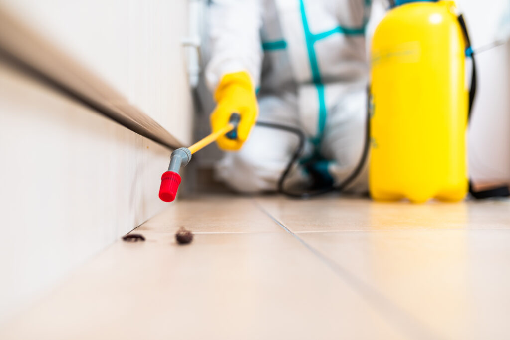 Stow Cockroach Experts